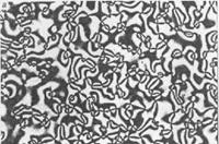 ������ ���������, ������� �������� ������ ����������, ���������, ���� � �� ����������