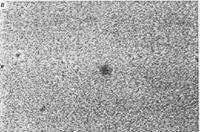 ������ ���������, ������� �������� ������ ����������, ���������, ���� � �� ����������