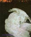 ������� �.�. ������. 1901. �����, �����. 154�131. ���